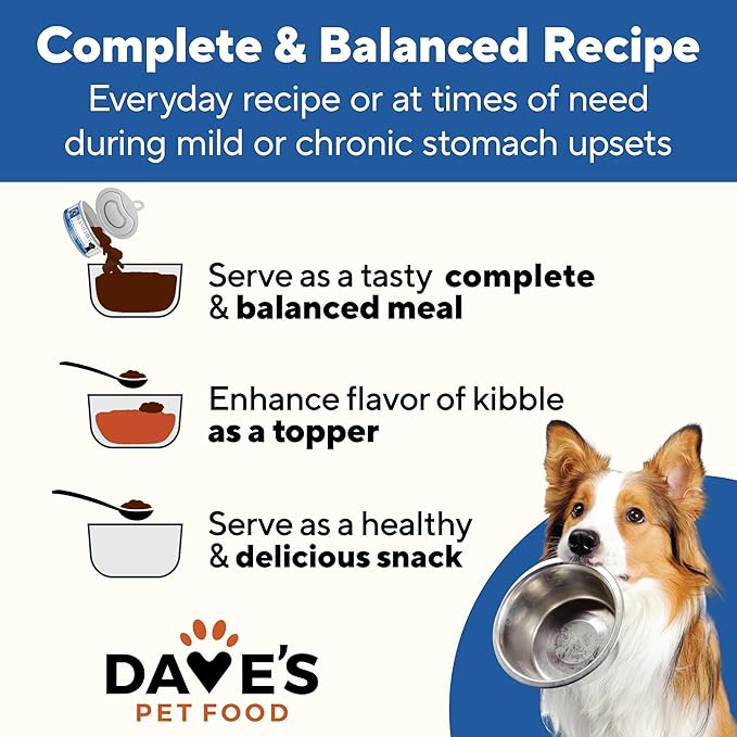 Dave's Pet Food Sensitive Stomach Dog Food (Chicken & Rice), Easy to Digest, Gluten-Free, Digestive Care, Wet Canned, 5.5 oz (Case of 24)