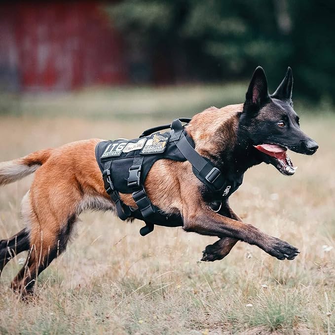 OneTigris No Pull Tactical Dog Harness for Medium Dogs, Mesh Design Breathable Military Dogs Molle Vests with Handles, Service Dog Vest Harness for Walking Hiking Training (L, Black)
