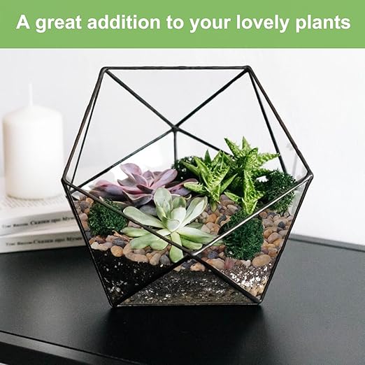 5 lbs Drainage Rocks for Potted Plants, 1/5 Inch Small Pebbles for Indoor Plants, Decorative Gravel for Vases, Bamboo, Succulent, Terrarium, Crafts, Cactus