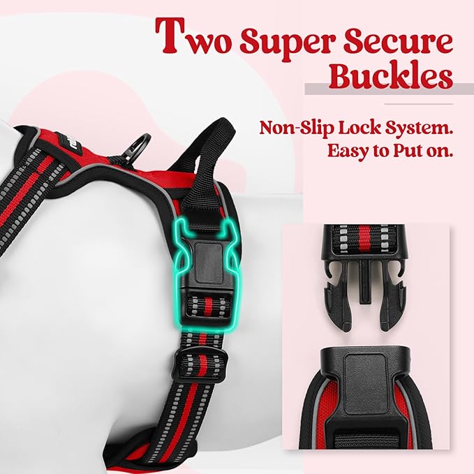 rabbitgoo Dog Harness, No-Pull Pet Harness with 2 Leash Clips, Adjustable Soft Padded Dog Vest, Reflective No-Choke Pet Oxford Vest with Easy Control Handle for Large Dogs, Red, L