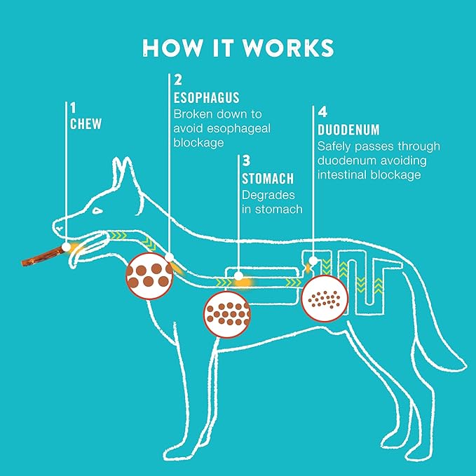 Collagen Rolls - 6" Collagen Rolls for Dogs - Long Lasting Healthy Joint Support - Rawhide Alternative - Skin & Coat Health - Made with Real Beef, Value Pack, 15 Bags, 60 Count