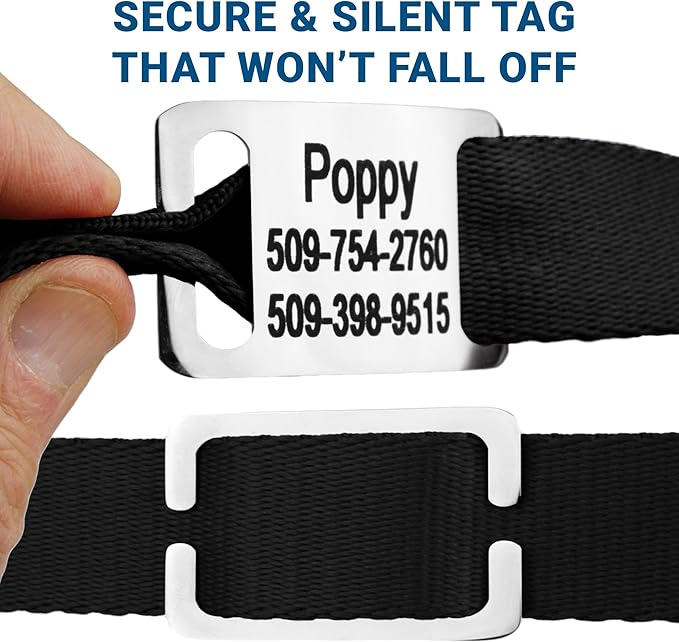 GoTags Personalized Dog Collar with Nameplate, Adjustable Dog Collar with Custom Engraved Slide On Pet ID Tag in Stainless Steel, Silent, No Noise Dog Tag (Hunter Green, X-Small)