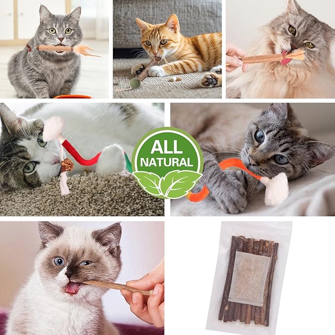 Cat Toys Cat Chew Toys, Silvervine Sticks Catnip Rope Toys for Cats Teeth Cleaning, Kitten Dental Care, Kitty for Indoor Cats Increase Appetite,Enhances Oral & Dental Health (21 Pack)