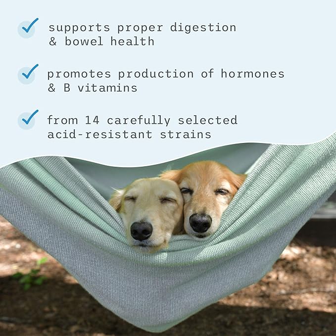 Dr. Mercola, Complete Probiotics, for Cats and Dogs, 3.17 oz (90 g), Supports Immune Function, Digestive Support, Non GMO, Soy Free, Gluten Free