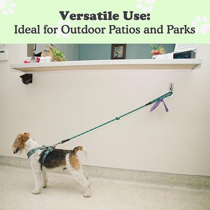Canine Hitch- Secure Dog Leash Parking Indoor- Outdoor Wall Hook with Clip - Tie Out Stainless Steel - Practical Lead Management for Home & Business