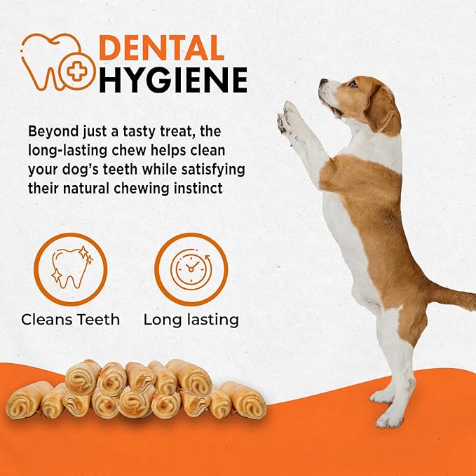 Canine Naturals Chicken Recipe Chew - Rawhide Free Dog Treats - Made from USA Raised Chicken - All-Natural and Easily Digestible - 5 Pack of 7 Inch Large Rolls for Dogs 50-75lb