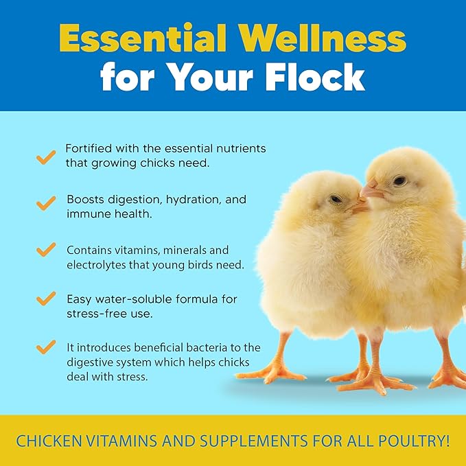 Equerry's Flock PRO Chick Boost Probiotic - Probiotics, Vitamins, Minerals and Electrolytes for Chickens | Chicken Vitamins and Supplements for All Poultry - 5lb