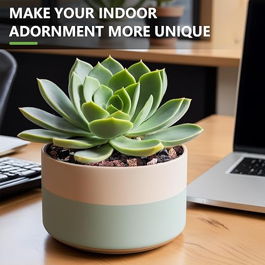 5lbs Small Rocks for Terrarium, Planters Drainage, 1/5 Inch Lava Rock for Bonsai Tree, Decorative Gravel for Succulents, Bamboo, Cactus, Mixed Color