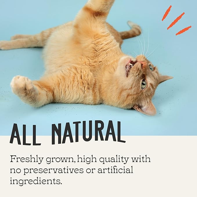 Catnip, All Natural Premium Catnip (4 oz Thick Cut)