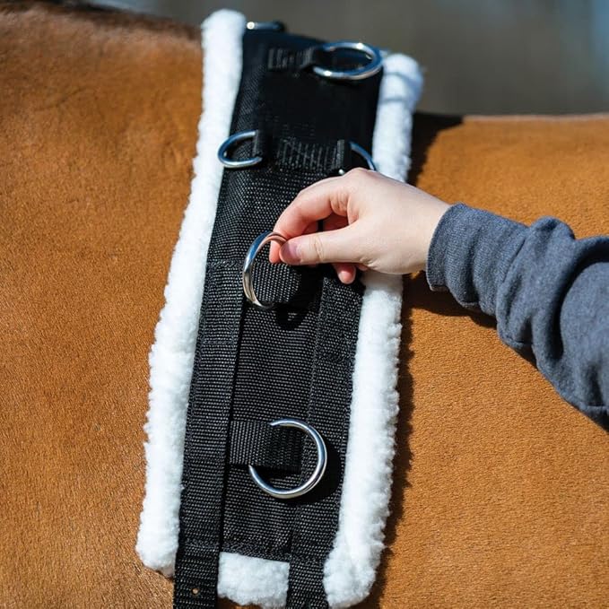 Dura-Tech Fleece Lined Training Surcingle for Horses | Essential for Lunging Work | Comfortable Fleece Lining | Durable Poly Material | Versatile D-Ring Placement | Suitable for All Training Levels