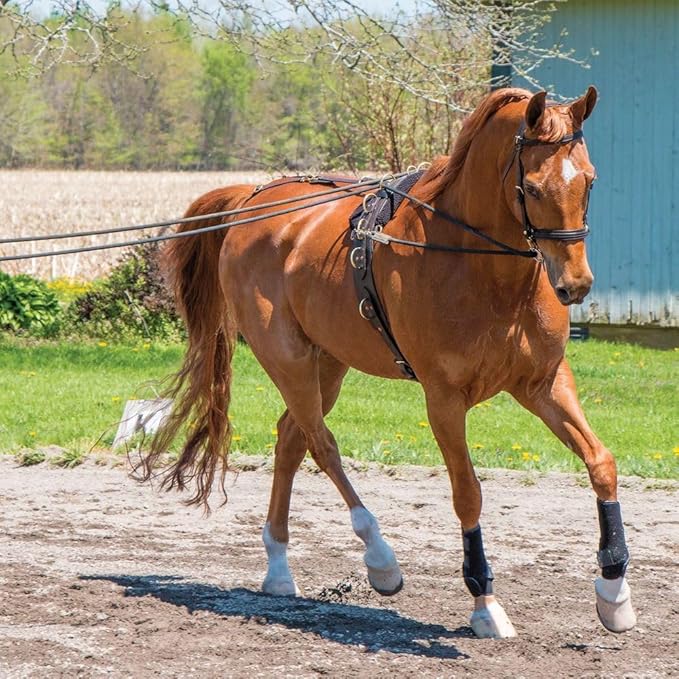 Dura-Tech MCR Long Lines 30'