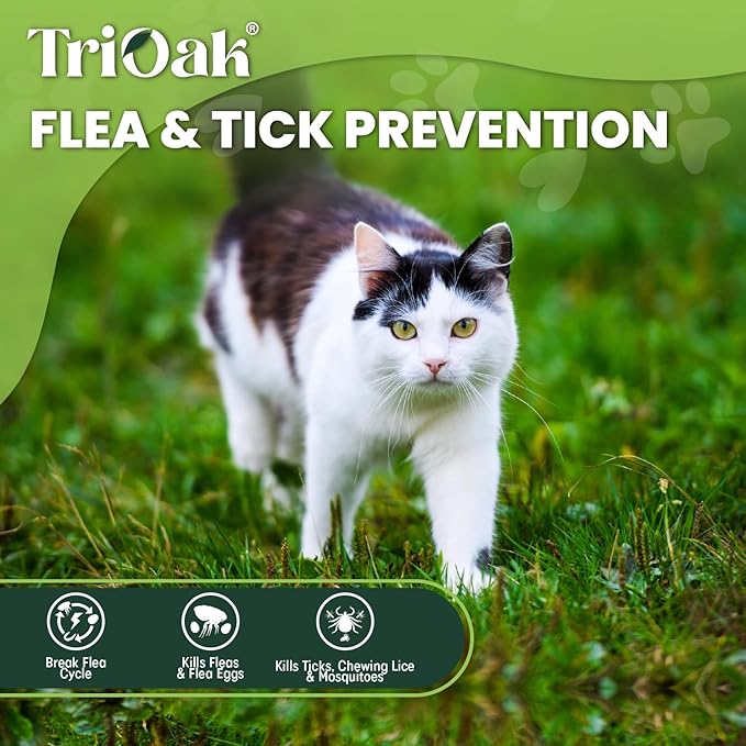 Flea and Tick Prevention for Cats: Flea & Tick Topical for Cats Over 1.5lbs, 6 Dose Flea and Tick Control/Prevention for 6 Months (6 Pack)