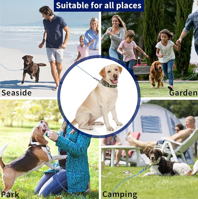 Dog tie Out Cable, 10/20/25/30/50/70/100 feet, Suitable for Dogs up to 350 pounds, Dog Cable with Swivel Buckle, Lightweight, Non-Winding, for Outdoor Camping, Yard Dog Cable (Blue, 20FT)