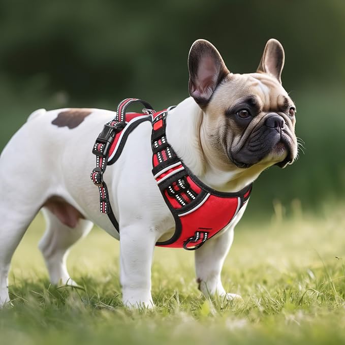 Timos Dog Harness Small Sized, No Pull with Neck Lockable Snap,No Choke Front Clip Dog Reflective Harness,Adjustable Metal Rings 3 Buckles,Easy Control Handle for Small Dogs Red S
