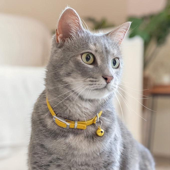 CollarDirect Leather Cat Collar with Bell - Kitten Collar, Small and Big Cat Strap for Boy Cats, Girl Cats with Safety Elastic Strap (Neck Fit 8"-11", Yellow)