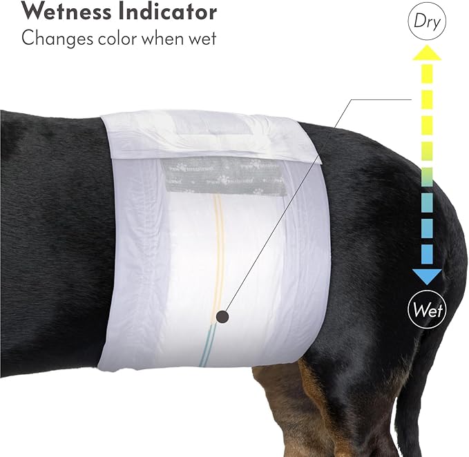 Paw Inspired Select Fit Male Dog Diapers, Disposable Male Wraps with Wetness Indicator| Belly Bands for Small, Medium, Large Dogs (Large, 20 Count)