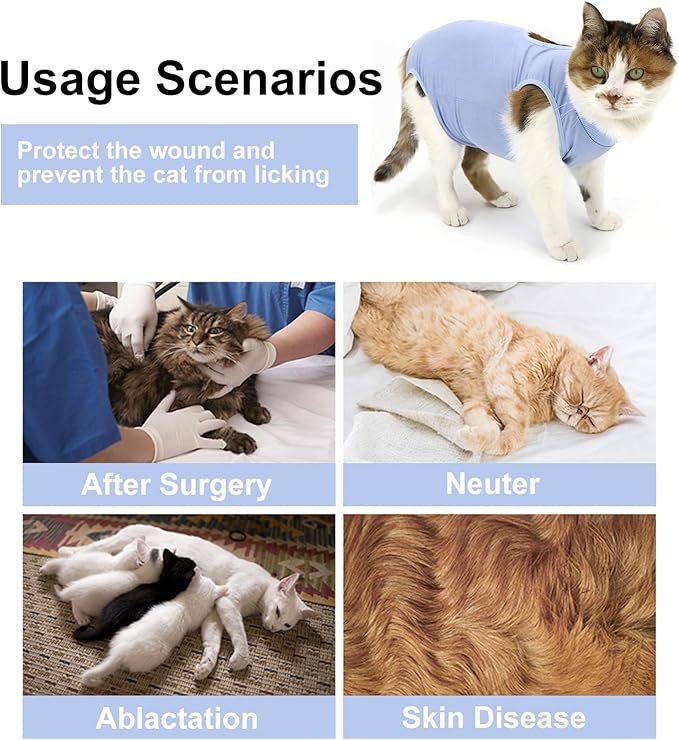 Cat Recovery Suit, Surgical Recovery Clothes for Abdominal Wound or Skin Disease, Cats Onesie After Surgery and Spay, E-Collar Alternative Pajama Suit (Blue, Small)