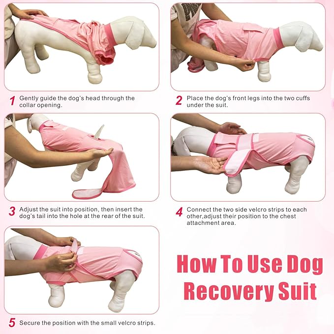 Idepet Dog Recovery Suit Female,Dogs Onesie Suit Surgery Male Breathable Pet Bodysuit for Spay Neuter E-Collar & Cone Alternative Surgical Suit Puppy Abdominal Anti Licking Wounds Shirt (Blue, XL)