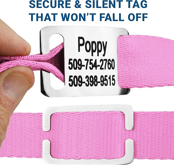GoTags Personalized Dog Collar with Nameplate, Adjustable Dog Collar with Custom Engraved Slide On Pet ID Tag in Stainless Steel, Silent, No Noise Dog Tag for Large Medium and Small (Pink, Large)