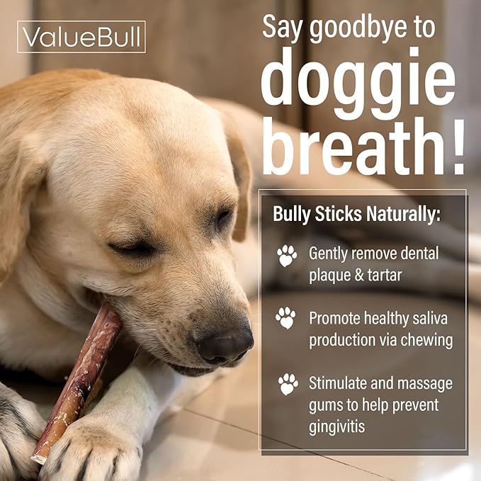 ValueBull Bully Sticks for Large Dogs, Jumbo 12 Inch, 25 Count - All Natural, Grass Fed, Single Ingredient, Long Lasting Dog Treats for Aggressive Chewers