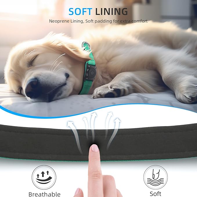 Upgraded AirTag Dog Collar, IP68 Waterproof Air Tag Dog Collar Holder, Reflective, Ultra-Durable, Comfortable Padded, Heavy Duty Dog Collars for Small Medium Large Dogs (L (14.8"-20.3"), Teal)