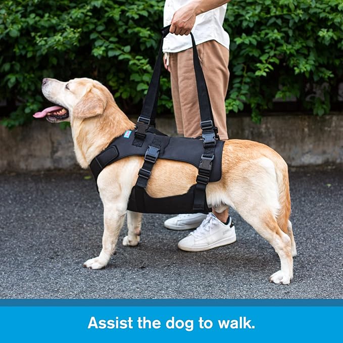 Dog Lift Harness, Rehabilitation Lifts Vest for Dogs, Support & Recovery Sling, Adjustable Breathable Lifting Straps for Old, Joint Injuries, Arthritis, Paralysis Dogs Walk (M, Black)