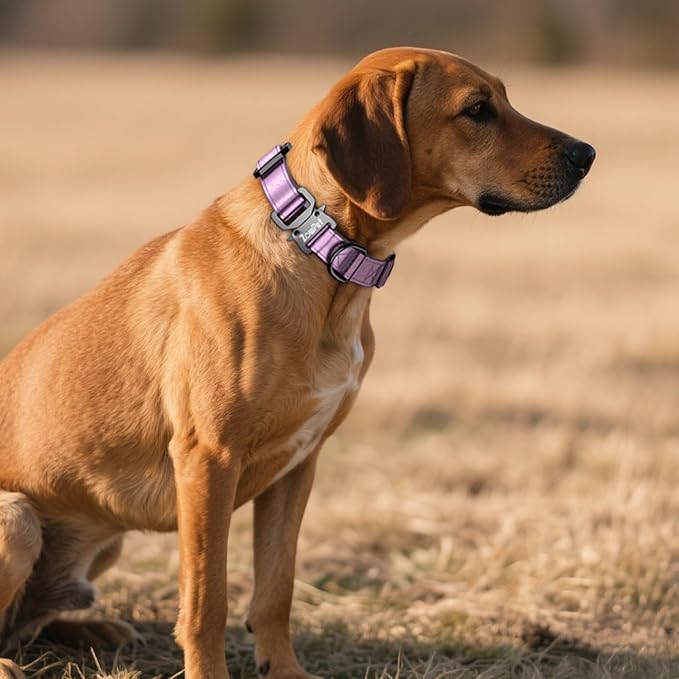 AirTag Dog Collar - Leather Dog Collar with Airtag Holder | IP68 Waterproof AirTag Holder with Metal Buckle, Comfortable GPS Dog Collars Tracker for Medium Large Dogs (Rose Gold, M)