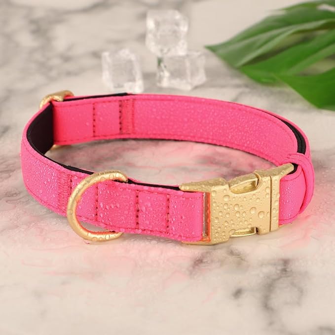 Didog Soft Padded Dog Collars for Small Dogs, Colorful and Durable Dog Collar with Quick Release Buckle, Light and Breathable for Daily Walking, Pink, S