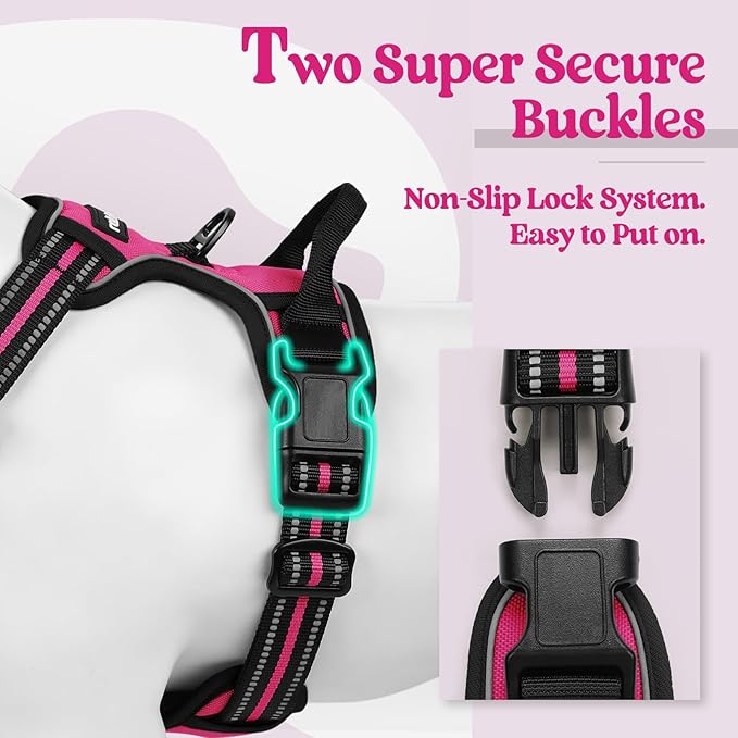 rabbitgoo Dog Harness No Pull with 2 Leash Clips, Adjustable Soft Padded, Reflective Oxford No Choke Pet Vest with Easy Control Handle for Medium Sized Dogs, Hot Pink, M