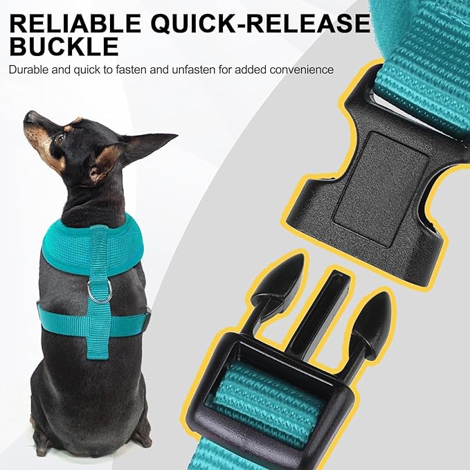 BINGPET Small Dog Harness - Breathable Mesh Puppy Cat Harnesses - No Pull Adjustable Dog Harness Dog Vest Harness for Small and Medium Dogs