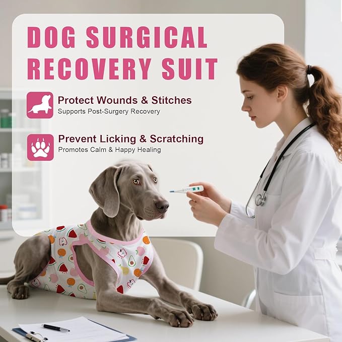 Recovery Suit for Dogs After Surgery, Professional Dog Surgical Suit for Female Spay, Male Neuter, E-Collar & Cone Alternative Dog Onesie for Abdominal Wounds Skin Disease, Fruit, XS