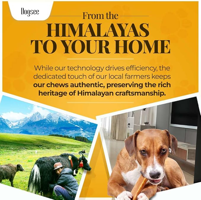 Dogsee Chew Dog Dental Chews | Long Lasting Dog Chews for Large Dogs | Yak Cheese Flavored Himalayan Dog Chew That Will Lower The Chances of Plaque and Tartar Growth | 1 Bar