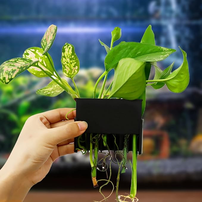 Aquarium Plant Holder with 5 Hole, Plastic Aquatic Plant Pot, Aquarium Planter Cups for Aquarium Plants Live, Aquarium Decor for Fish Tank Live Plants, 1.5inch