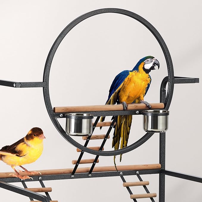 Bird Playstand, 66'' H Inch Birdcage Stand Activity Play Center with Perches and Ladders, Removable Tray, Indoor Outdoor Playground for Parakeet,Cockatiels Conures Parrots, Lockable Caster,Black