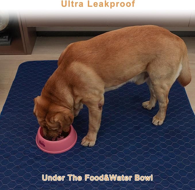 2Pack Washable Pee Pads for Dogs 18”x24”, Quick Dry Puppy Pads, Waterproof, Non Slip, Premium Reusable Dog Training Pads