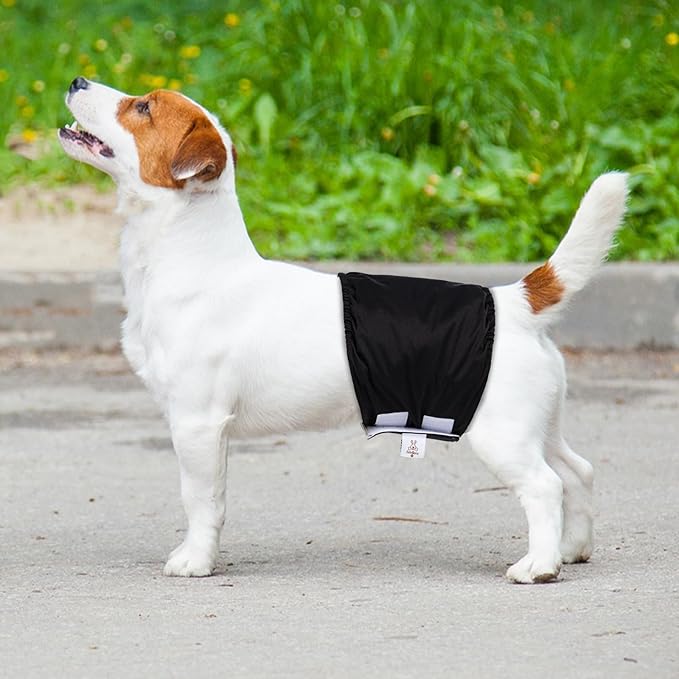 CuteBone Dog Diapers Male Washable Belly Band for Male Dogs Wraps Black 3pcs a Pack DM44L