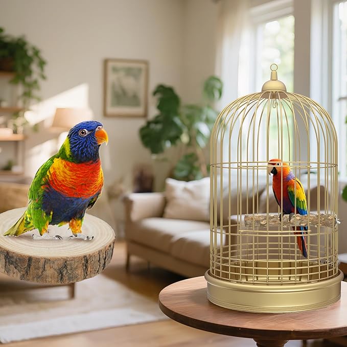 Bird Perch Stand, Pole Standing Natural Wood Bird Perch Set 7PCS Paw Grinding Fork Parrot Cage Branch with Rope Cage Accessories Toys for Parakeets, Cockatiels, Conure, Budgies