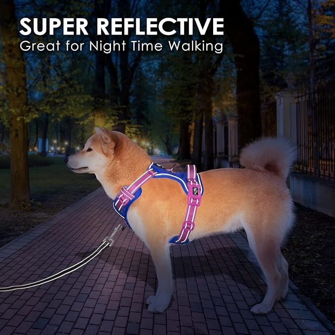 PHOEPET No Pull Dog Harness, Unique Colors Reflective Adjustable Dog Vest, with Soft Training Handle Metal Clips for Small Medium Large Dogs (Royal Blue Base & Pink Straps,XL)