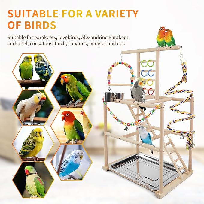Bird Playground, Parrots Playstand for Small to Medium Birds, Perch Stand with 3 Ladders Playgym with Rope Perch, Swings Feeder Cups Bird Cage Accessories for Conure Cockatiel Lovebirds