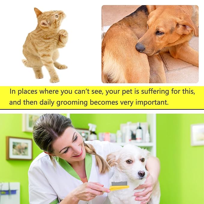 Cat & Dog Comb Set - Fine Tooth Grooming Comb for Dandruff & Hair Removal (Yellow)