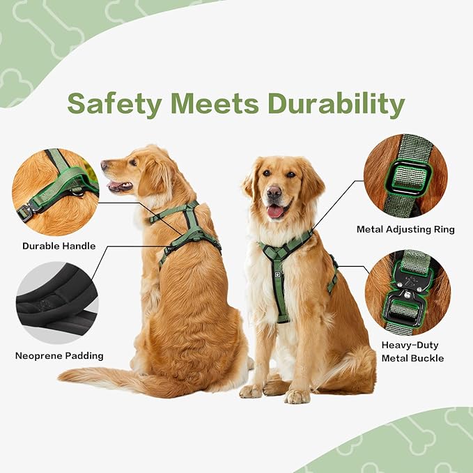 CLEPAWS Dog Harness for Small Dogs, No Pull Dog Harness Easy Walk with Metal Hardware, Ergonomic Y-Shaped Design, Soft Padding, Padded Handle, Durable High-Tensile Nylon (Evergreen, S)