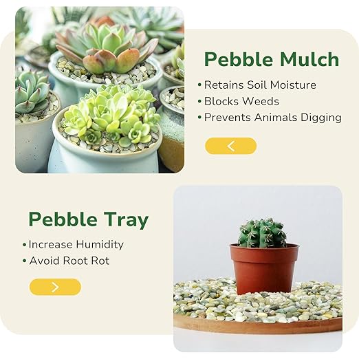 GreatBuddy 2.5-lb Decorative Rocks for Indoor Plants, 3/8" Jade Pebbles for Planters, Gravel for Succulent, Vases, Bamboo, Garden Landscaping, Crafts, Aquariums, Natural Polished