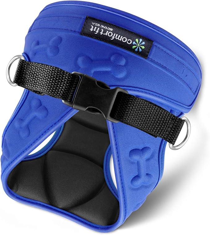 Comfort Fit Dog Harness No Pull with 2 Leash Clips Step in Harness for Small Sized Dogs Soft Padded Comfortable All Weather Dog Vest with Easy Control Adjustable Buckles for Dogs & Puppies – Blue XS
