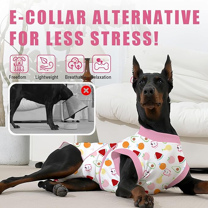 Recovery Suit for Dogs After Surgery, Professional Dog Surgical Suit for Female Spay, Male Neuter, E-Collar & Cone Alternative Dog Onesie for Abdominal Wounds Skin Disease, Fruit, XL