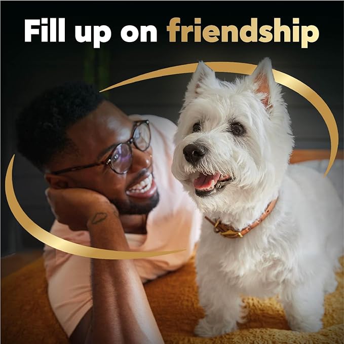 Cesar Filets in Gravy Wet Dog Food Filet Mignon Flavor, Rotisserie Chicken Flavor, and Wood-Grilled Chicken Flavor Variety Pack, 1.76 oz. Mini-Pouches (40 Count, Pack of 1)