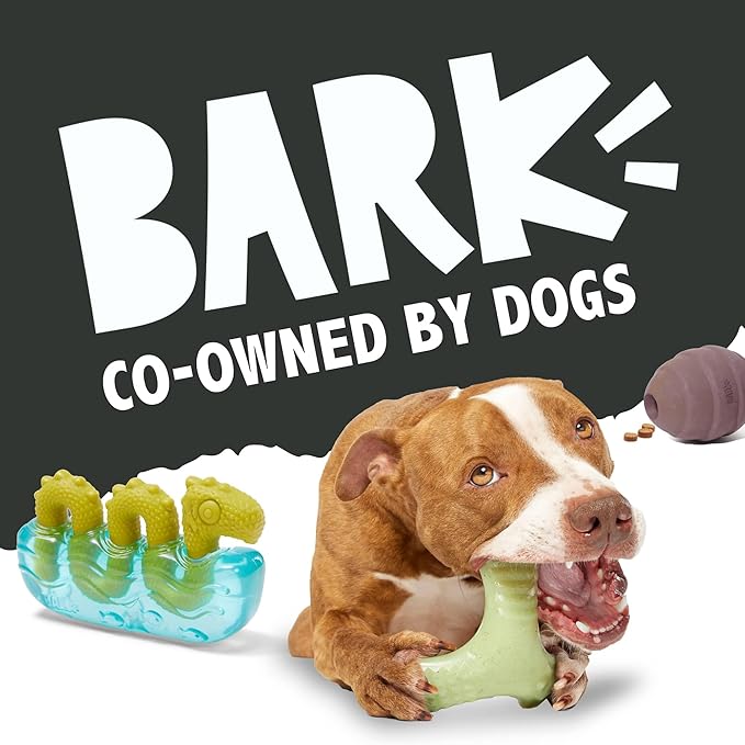 Barkbox Fowl Play Treat Dispensing Hard Core Plush Toy for Aggressive Chewers - Large