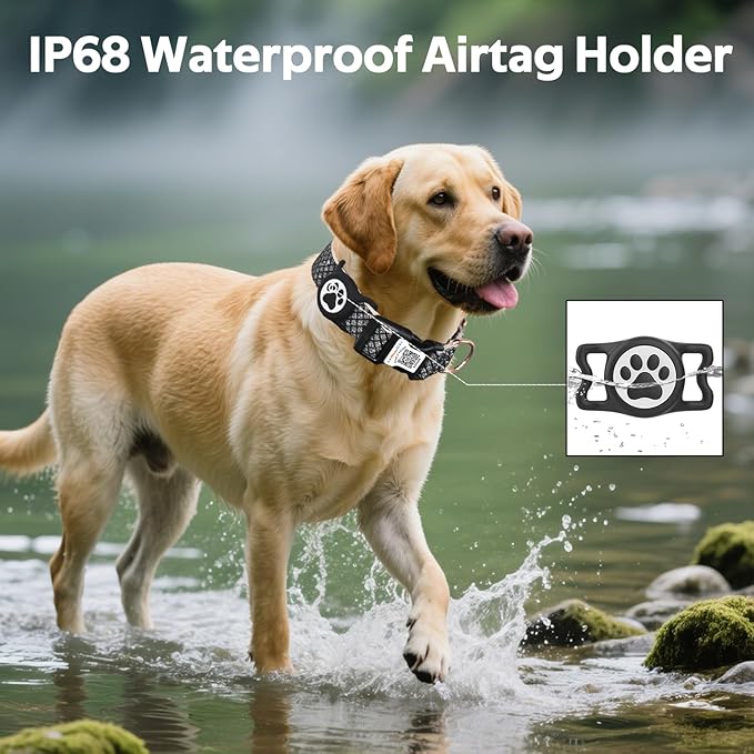 Dog Collar with Waterproof AirTag Holder & Anti-Lost QR Code, Cute Bling Warpping Adjustable Width for Small Medium Large Pet (Black, M)