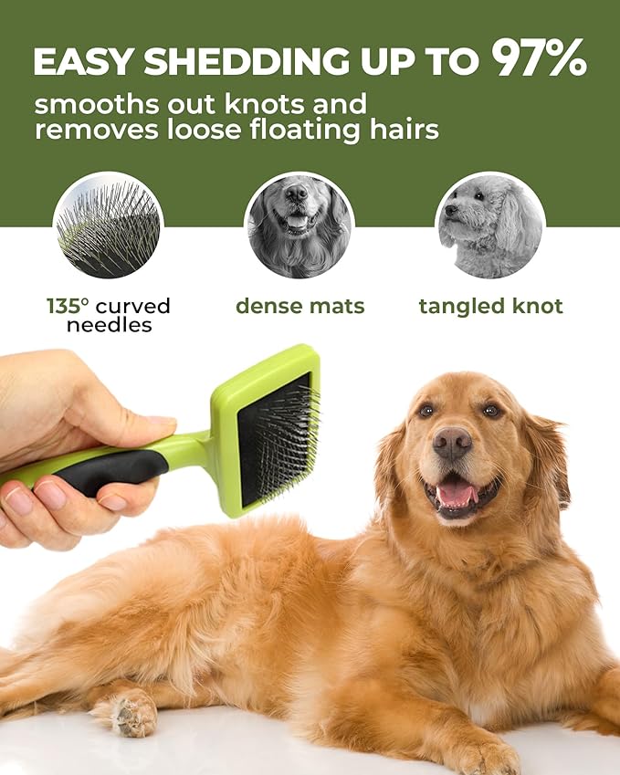 Dog Brush for Shedding Grooming,6 Pack Long-Pin Brush Set for Long Haired Dog Cat Goldendoodles Poodles Doodles Green