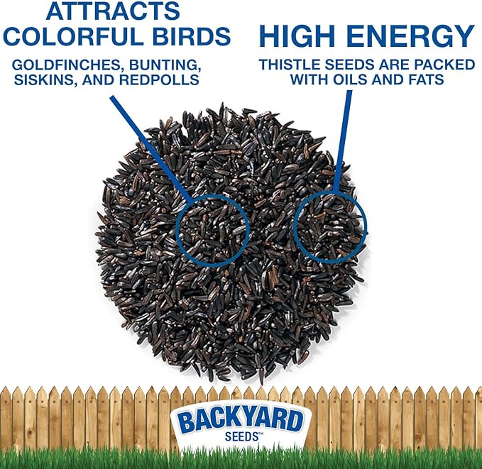 CountryMax Thistle Wild Bird Seed 40 lb – Premium Quality, 100% Clean, No Debris – Attracts Finches & Small Songbirds