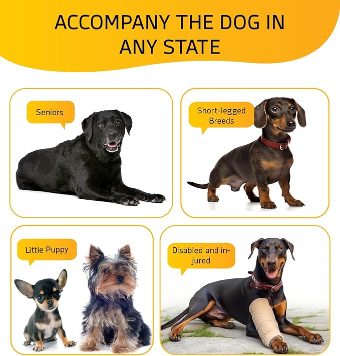 Dog Stairs for High Bed, Dog Steps for Bed Couch Sofa, 35D Foam Pet Steps for Small Dogs and Cats, Extra Wide Pet Stairs with Non-Slip Bottom Brown, 5 Steps